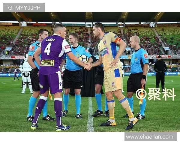 墨尔本城与新城堡联队的激烈对决揭示足球魅力与团队精神